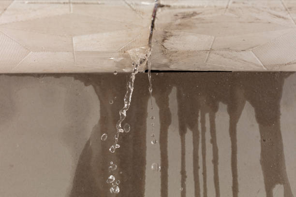 Professional Water Damage Repair technician working in East Bend, NC